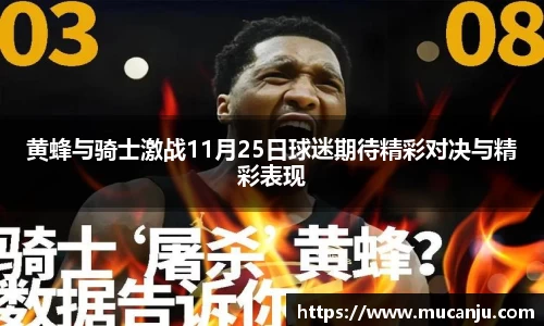 黄蜂与骑士激战11月25日球迷期待精彩对决与精彩表现